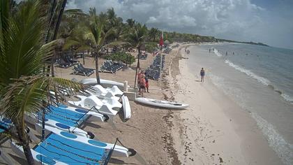 Archivo 09/10/2018 - Algas en las playas de Riviera Maya (México) - Foro Riviera Maya y Caribe Mexicano