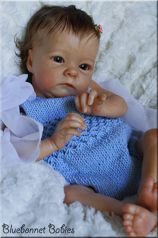 bluebonnet babies ebay