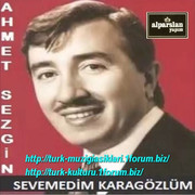 Ahmet_Sezgin_-_Sevemedim_Karagozlum