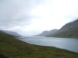 Islandia - Blogs de Islandia - Fiordos del Este (de Höfn a Egilsstaðir) (18)