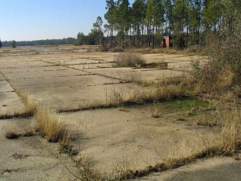 Grass_flowers_VS_concrete_09.jpg