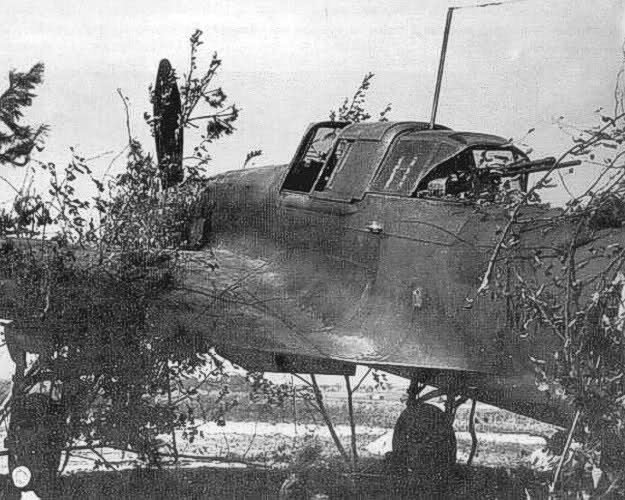 Cazabombardero soviético IL-2