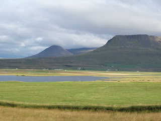 Islandia - Blogs de Islandia - Ballenas y carretera hacia los fiordos del oeste (11)