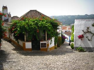 Experiencias entre Ruas Lisboetas, históricas Villas y bellos Monasterios. - Blogs of Portugal - Descubriendo Obidos, el Palacio de Mafra, el Cabo de Roca y Cascais. (10)