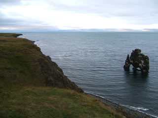 Islandia - Blogs de Islandia - Ballenas y carretera hacia los fiordos del oeste (13)