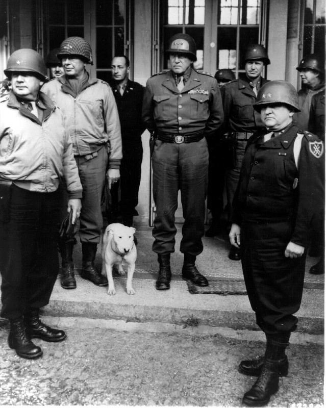 En esta foto tomada a principios de 1945 se observa al General Patton rodeado de su estado mayor de generales de una y dos estrellas. A sus pies se encuentra su mascota, el Bull Terrier Inglés William el Conquistador a quien Patton llamaba cariñosamente Willie