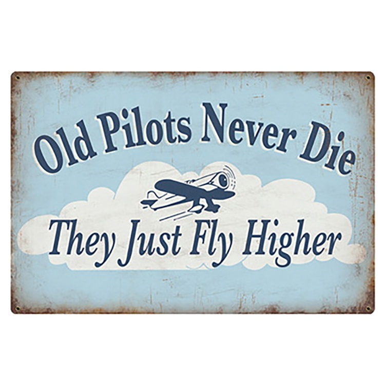 old-pilots-never-die-metal-retro-aviation-sign-p7205-43442_zoom