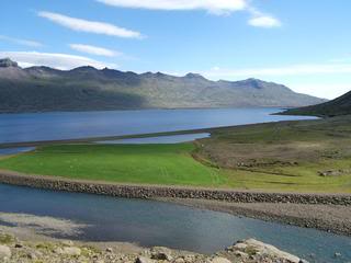 Islandia - Blogs de Islandia - Fiordos del Este (de Höfn a Egilsstaðir) (10)