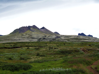 Islandia - Blogs de Islandia - Glaciares y lagunas en el Vatnajökull (Skaftafell NP) (6)