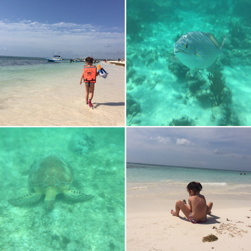 Nuestro sueño maya - Blogs de Mexico - Día 5: Buceo con tortugas en Akumal (3)