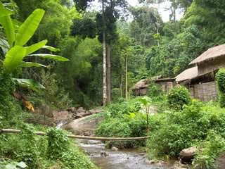 De excursión por la selva de Chiang Mai - Tailandia en 20 días (8)