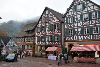 Bodensee, Schaffhausen y Schiltach - Otoño en el sur de Alemania (Bavaria, Ruta Romántica y Selva Negra) (26)