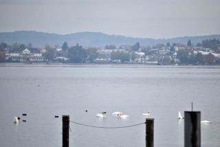 Bodensee, Schaffhausen y Schiltach - Otoño en el sur de Alemania (Bavaria, Ruta Romántica y Selva Negra) (2)