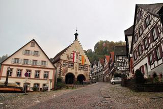 Bodensee, Schaffhausen y Schiltach - Otoño en el sur de Alemania (Bavaria, Ruta Romántica y Selva Negra) (27)