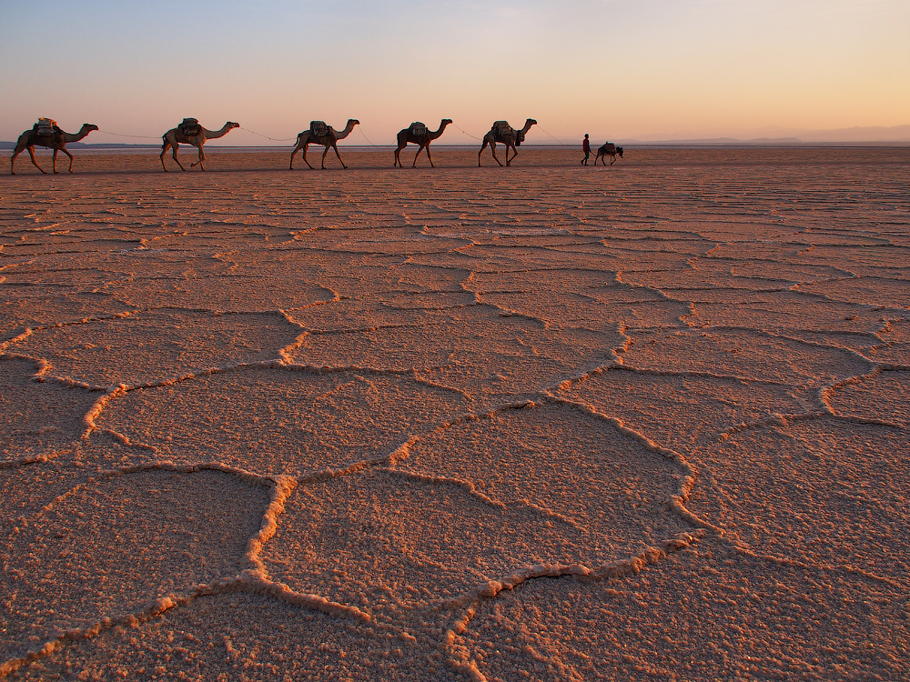 Как живут люди в соляной эфиопской пустыне. озера, больше, пустыне, время, верблюдов, здесь, соляным, только, чтобы, пластиком, совсем, вокруг, метров, когда, назад, солнце, солью, потом, сотни, видите