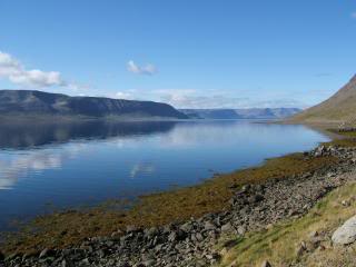 Islandia - Blogs de Islandia - Fiordos occidentales (13)