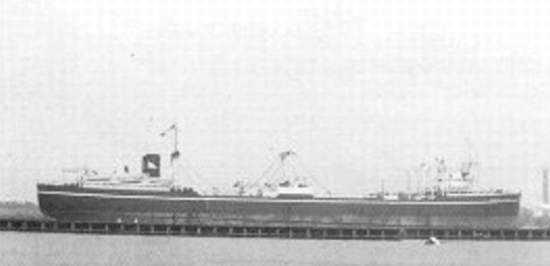 Buque Factoría-Ballenero Británico SS Terje Viken