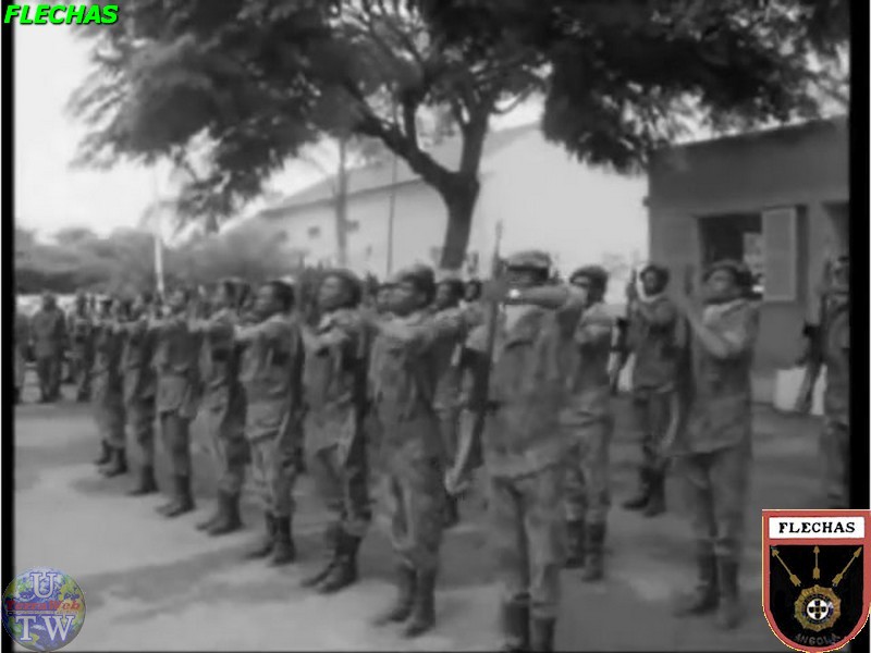 Tropa_Flechas 2586