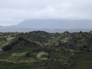 Lago Myvatn - Islandia (12)