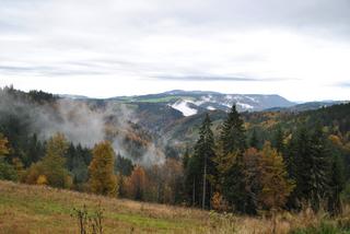 Bodensee, Schaffhausen y Schiltach - Otoño en el sur de Alemania (Bavaria, Ruta Romántica y Selva Negra) (21)