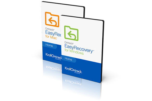 easy recovery pro portable