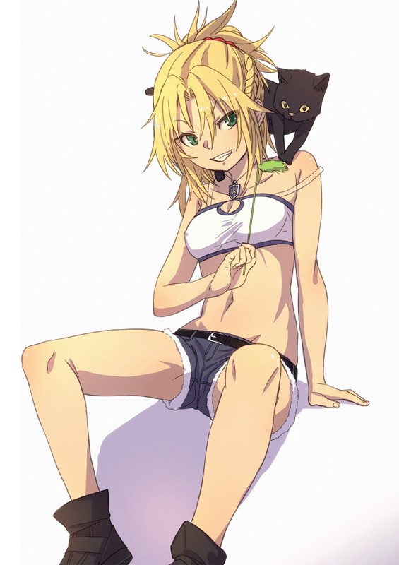 mordred_and_mordred_fate_apocrypha_and_fate_series_drawn_by_fu