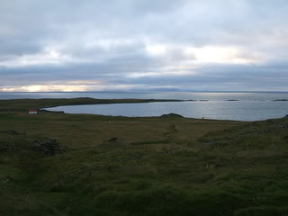 Islandia - Blogs de Islandia - Ballenas y carretera hacia los fiordos del oeste (5)
