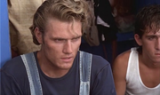 Pensavo fosse amore... invece era un calesse (1991) .avi DVDRip AC3 ITA