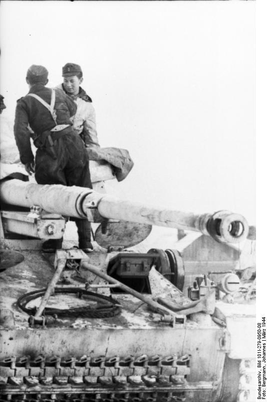 Primer plano del cañón de un Nashorn en las inmediaciones de Vitebsk, Bielorrusia. Marzo 1944