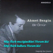 Ahmet_Sezgin_-_Bir_Omur_2012