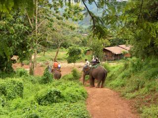 De excursión por la selva de Chiang Mai - Tailandia en 20 días (6)